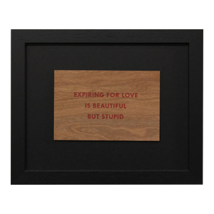 Jenny Holzer, Truism 'Expiring for Love Is Beautiful but Stupid', 1994