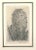 Image dimensions: 16.7 x 10.7 cm. This is an original etching realized by Luigi Bartolini in 1934. Hand signed in pencil...