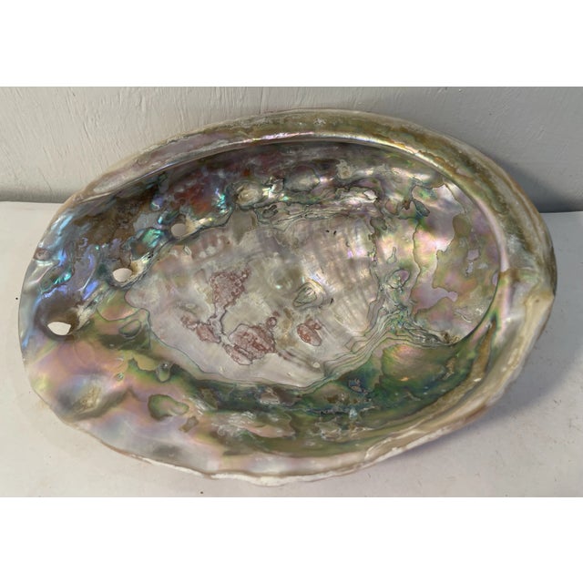 Mid-Century Modern Beautiful Vintage Abalone Shell For Sale - Image 3 of 5