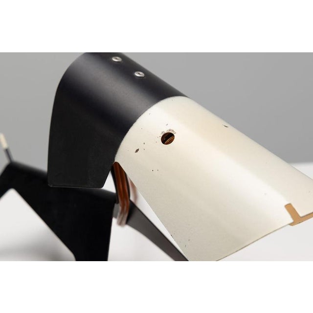 1950s French Dog Lamp by Jean Boris Lacroix for Disderot, 1950 For Sale - Image 5 of 18