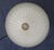1960s Italian Clear Graniglia Murano Glass Flush Mount For Sale - Image 4 of 8