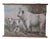 Chillingham Cattle Family Chart For Sale