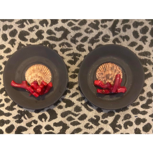 Grand Tour Wedgwood Basalt Plates Encrusted in Shells - Pair For Sale - Image 3 of 9