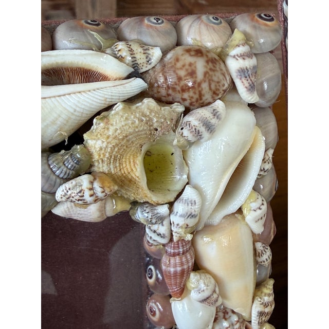 Nautical Pair of Vintage Coastal Shell Encrusted Picture Frames For Sale - Image 3 of 12