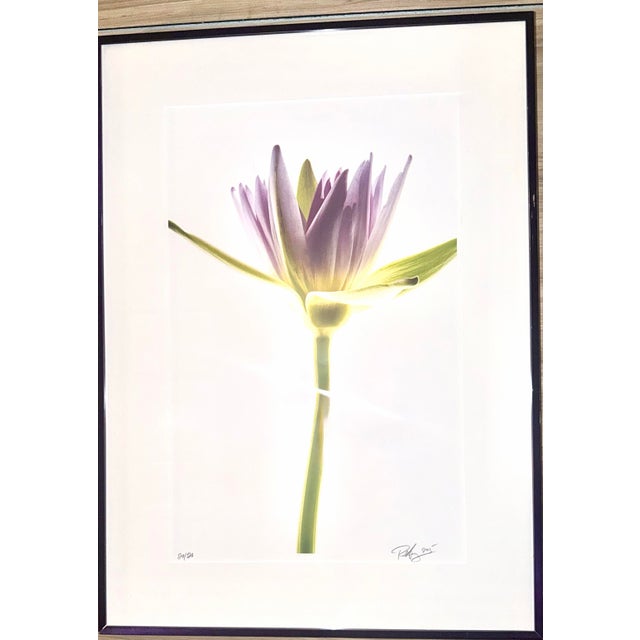 This piece captures a single moment of quiet elegance — a radiant purple water lily suspended against a clean, ethereal...