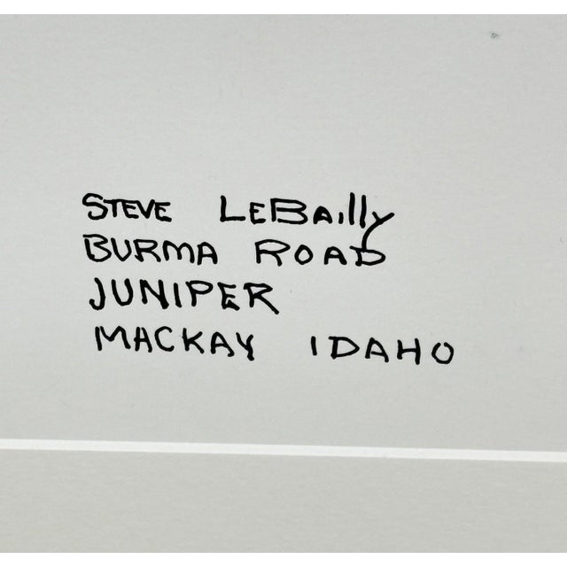 Realism 1980s Steve LeBailly Signed Pen & Ink Drawing "Burma Road Juniper" Mackay, Idaho For Sale - Image 3 of 10