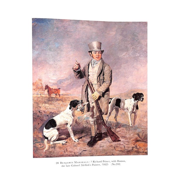 "British Sporting and Animal Drawings 1500-1850" 1978 Egerton, Judy and Snelgrove, Dudley For Sale In New York - Image 6 of 9