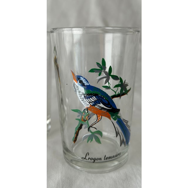 Perfectly Palm Springs! This set of four juice glasses feature colorful avian artwork....a different bird on each glass....