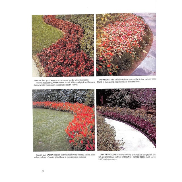 "Landscaping in Florida: A Photo Idea Book" 1989 Perry, Mac For Sale - Image 12 of 12