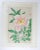 Vintage 1950s Kawarazaki Shodo Pink Peony Woodblock Print For Sale In Seattle - Image 6 of 7