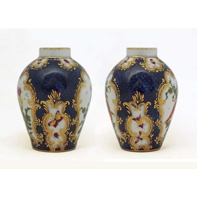 Rare pair of antique exotic bird tea caddies. Perfect as decorative pieces to display in a china cabinet or as vases in a...