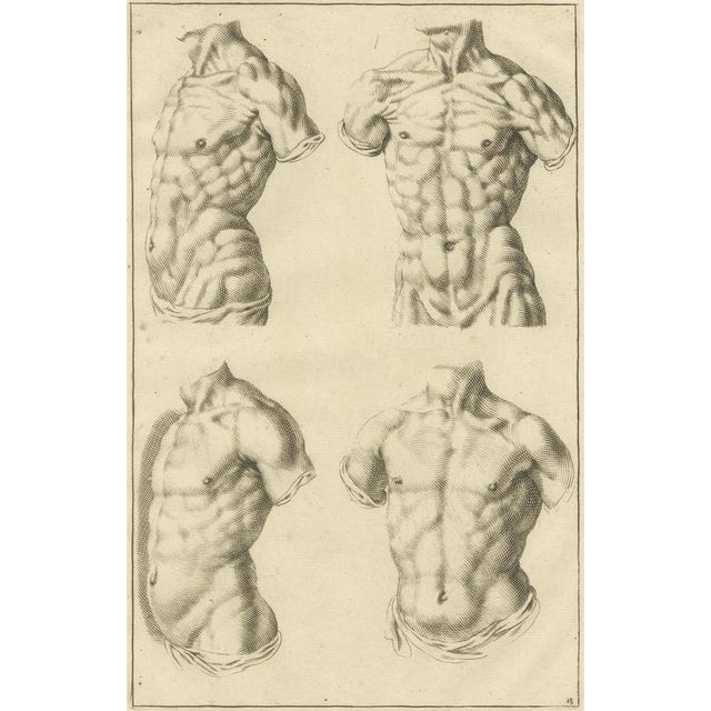 After De Lairesse, Male Torso Studies, 1745, Paper For Sale - Image 6 of 10