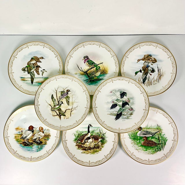 1980 Vintage Arts & Crafts English Bone China Water Fowl Birds Dinner Plates -Set of 8, Thanksgiving For Sale - Image 4 of 18