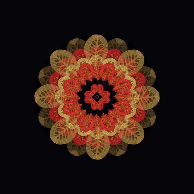 Edition of 10. All items are shipped as a print only and come unframed. Judith lyons is a photographic artist living and...