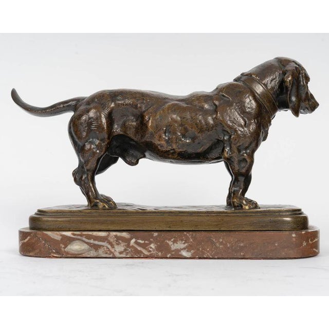 Metal Sculpture of Basset Hound in Patinated Bronze by Antoine-Louis Barye For Sale - Image 7 of 10