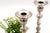 Silver Candlesticks with Turned Stems, Set of 2 For Sale - Image 3 of 7