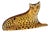 Large Abraham Palatnik Leopard Sculpture by Abraham Palatnik, 1960s For Sale