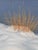 Contemporary Signed Lassetter 1979 Winter Landscape Painting, Grass in Snow, Framed, Morrison-Knudsen Collection For Sale - Image 3 of 12