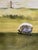 Leftbank Large Pastoral Sheep Landscape Prints Art Framed Pair – Set of 2 Modern Farmhouse Wall Art For Sale - Image 4 of 11