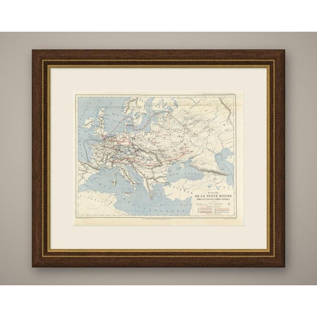 This antique cattle plague map of europe traces the successive invasions of rinderpest from 1711 to 1871, engraved by e....