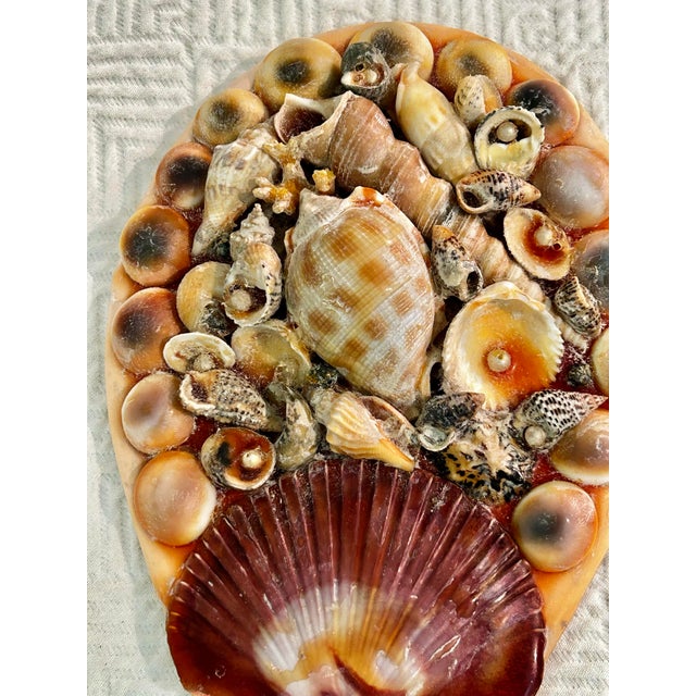 Mid 20th Century Mid-Century Mermaid Grotto Sailors Valentine Sea Shell Encrusted Vanity Hand Mirror For Sale - Image 5 of 12