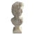 Neoclassical Italian Marble Hand Carved Michelangelo ‚ÄúDavid‚Äù Bust Sculpture For Sale