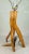 Wood Rustic Folk Art Freeform Wooden Tree Branch Lamp For Sale - Image 7 of 12