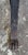 Vintage Regency-Style Reeded Wrought-Iron Garden Bench With Paw Feet For Sale - Image 10 of 12