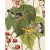 Introducing the Duchess Edition: a refined collection of Audubon Bird Giclée reproductions that elevate the timeless...