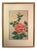 Mid 20th Century "Roses" Botanical Woodblock Pritn by Kawarazaki Shōdō 河原崎 奨堂, Framed For Sale