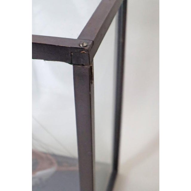 Metal Sailing Training Ship Elli in the Display Case with Glass, Denmark, 1958 For Sale - Image 7 of 18