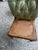 18th Century Pair William IV Balloon Back Child Chairs For Sale - Image 10 of 12