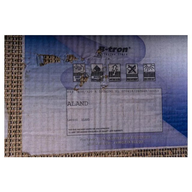 Rectangular Zebra Rug from Aland For Sale - Image 3 of 4