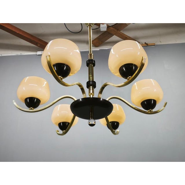Italian Brass Chandelier with Opaline Glass Shades, 1950s For Sale - Image 12 of 17