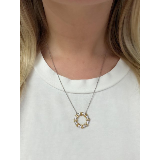 Contemporary Schlumberger for Tiffany & Co., Sixteen Stone Diamond Circle Pendant/Necklace For Sale - Image 3 of 6