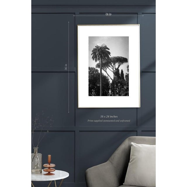 Contemporary Paul Cooklin, Rome Italy 00151, Edition of 50 For Sale - Image 3 of 5