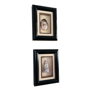 Pair of Vintage Framed Sea Shells For Sale