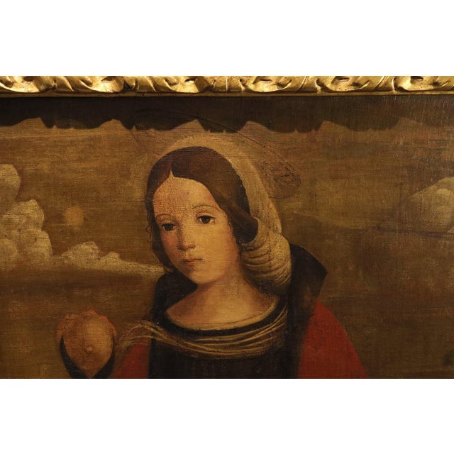 Francesco di Girolamo da Santacroce, Saint Agatha, 16th Century, Oil Painting on Canvas, Framed For Sale - Image 8 of 12