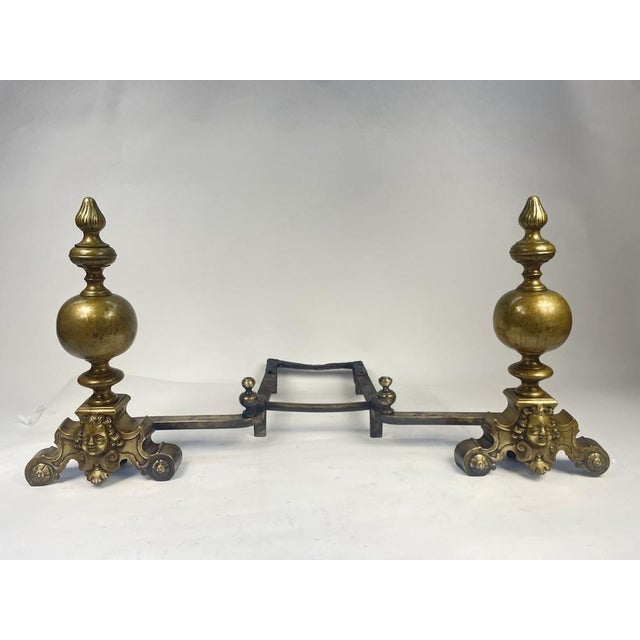 Antique Golden Bronze Wing, 1800s For Sale - Image 17 of 17