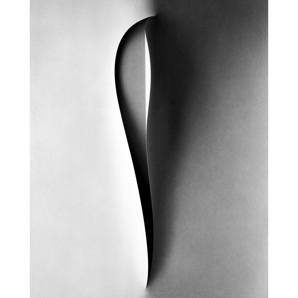 Ugne Pouwell, Papercut, 2026, Photography, Limited 10 | Chairish