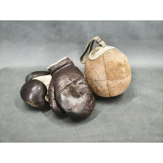 Leather Boxing Gloves and Punching Ball, Czechoslovakia, 1940s, Set of 3 For Sale - Image 9 of 10
