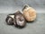Leather Boxing Gloves and Punching Ball, Czechoslovakia, 1940s, Set of 3 For Sale - Image 9 of 10