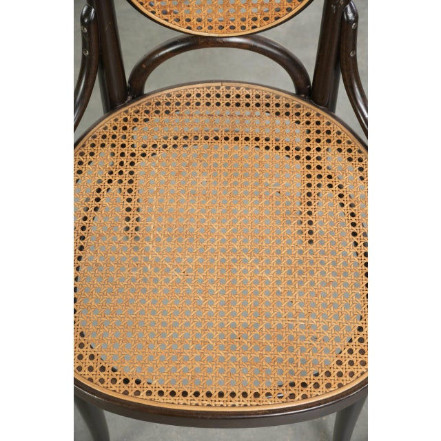 Vintage Long John Webbing Dining Chairs from Thonet, Set of 6 For Sale - Image 10 of 18