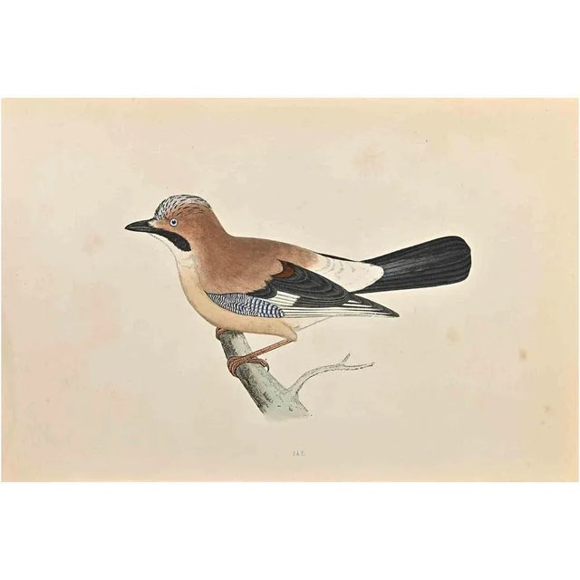 Jay is a modern artwork realized in 1870 by the British artist Alexander Francis Lydon (1836-1917). Woodcut print on...