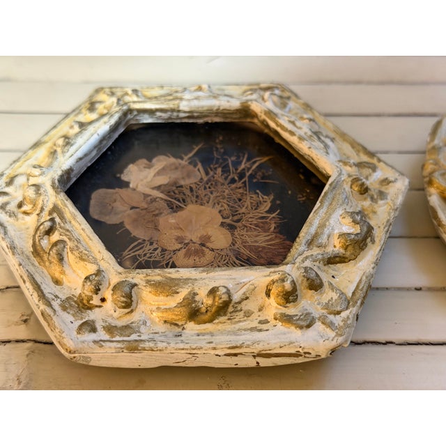 Wood Vintage Set of Two Botanicals, Framed For Sale - Image 7 of 9
