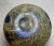 1990s Hand Blown Maytum Studio Art Glass Iridescent Aurene Egg Shaped Oil Lamp Vase For Sale - Image 10 of 14