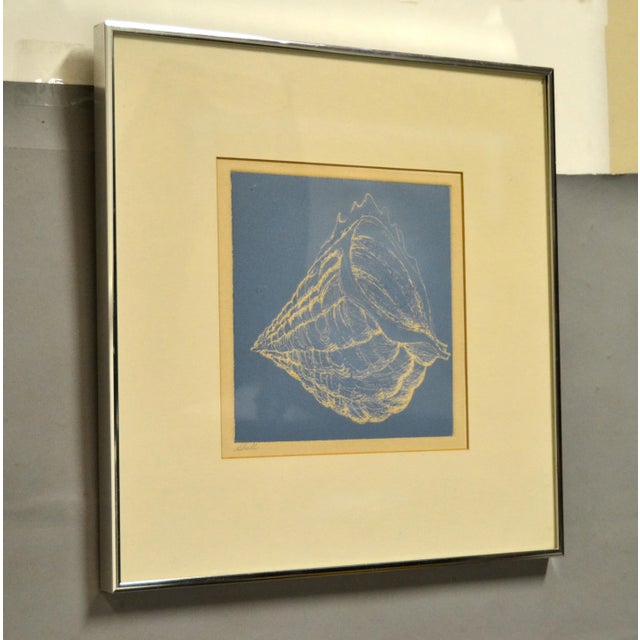 Framed Realism Blue & Beige Seashell Pencil Painting, Fine Art Brushed Chrome For Sale In Miami - Image 6 of 11
