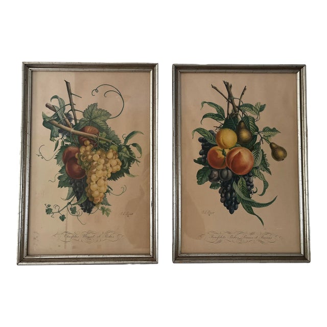 1950s Set of 2 Botanical Lithographs After JL Prevost, Framed For Sale