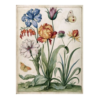 Butterflies and Flowers — Antique Botanical Fine Art Print After a 19th-Century Watercolor Fine Art Print For Sale