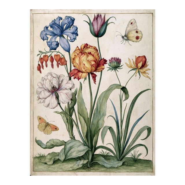 Butterflies and Flowers — Antique Botanical Fine Art Print After a 19th-Century Watercolor Fine Art Print For Sale